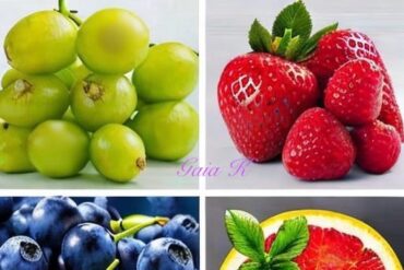 AI technology analyzing different types of fruit for better understanding and classification