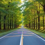 Path to AI successful learning - shady road with trees - 林蔭道路